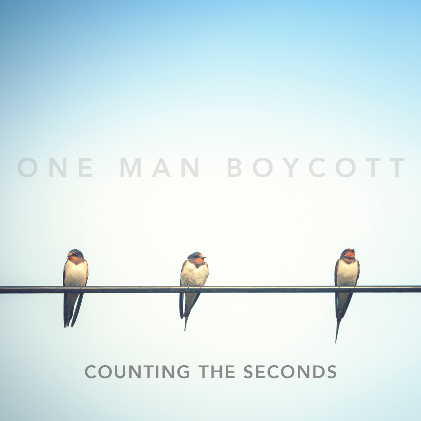 Counting The Seconds CD